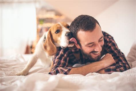 犬 好きな人にする行動: 彼らの愛情表現を理解するために