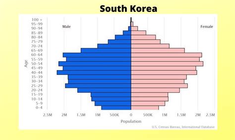 프랑스 인구수와 달리 한국의 인구 구조 변화